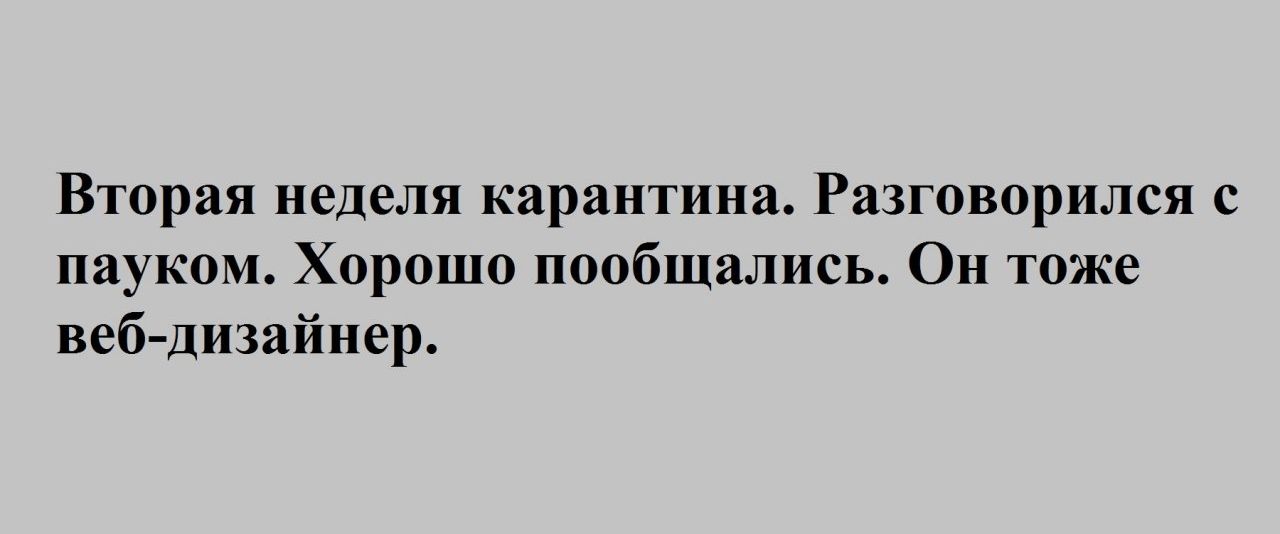 Вторая неделя карантина Разговорился с пауком Хорошо пообщались Он тоже веб дизайнер