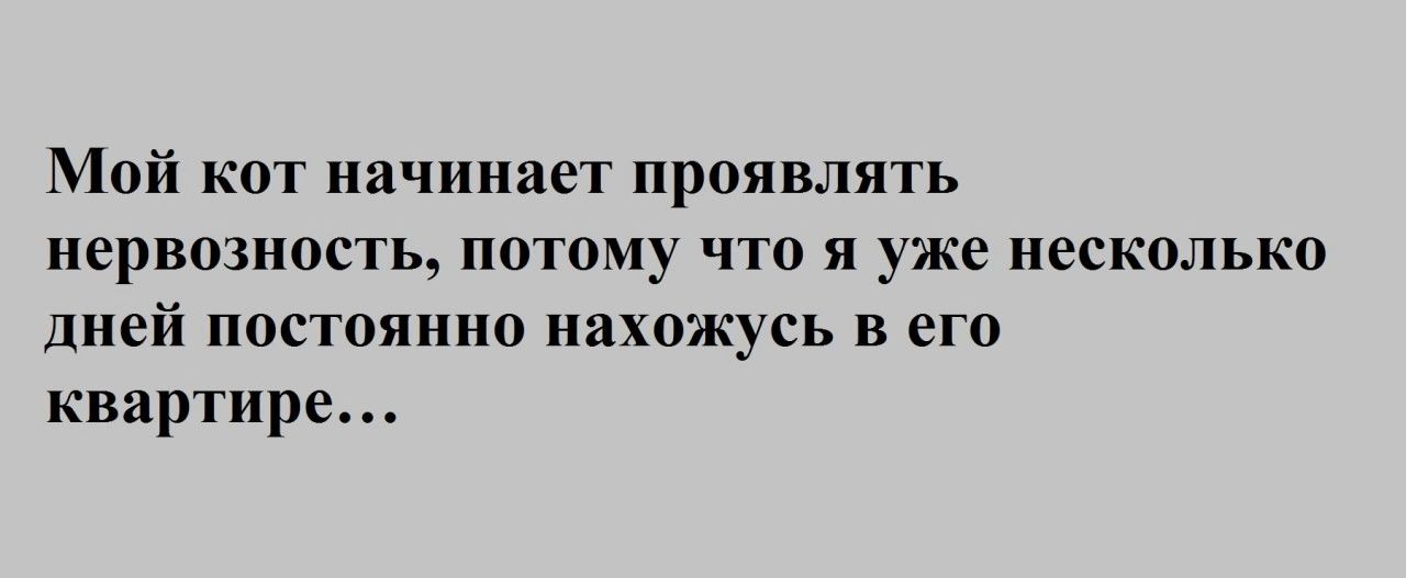 Мой кот начинает проявлять нервозность потому что я уже несколько дней постоянно нахожусь в его квартире