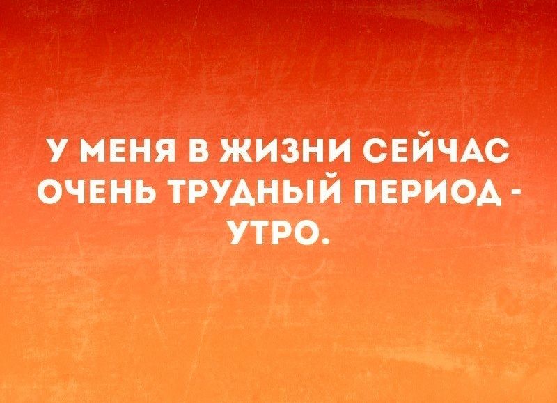 жившие твик тыый моим утро
