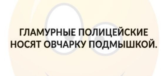 ГЛАМУРНЫЕ ПОЛИЦЕЙСКИЕ НОСЯТ ОВЧАРКУ ПОДМЫШКОЙ