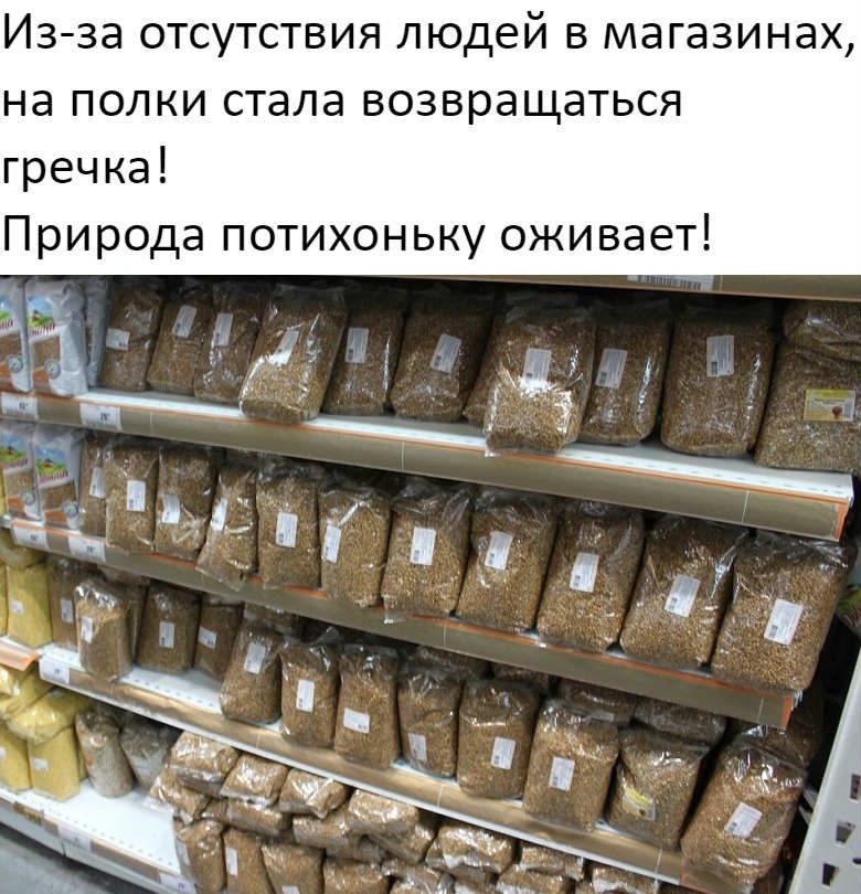 Изза отсутствия людей в магазинах на полки стала возвращаться гречка Природа потихоньку оживает