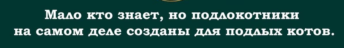 Машо кто знает но поддокотники на самом деАе созданы для поддых котов