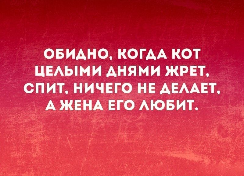 ОБИАНО КОГАА КОТ ЦЕАЫМИ АНЯМИ ЖРЕТ СПИТ НИЧЕГО НЕ АЕААЕТ А ЖЕНА ЕГО АЮБИТ