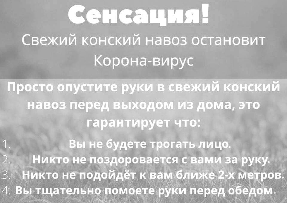 Сенсация Свежий конский навоз остановит Корона вирус Просто опустите руки в свежий конский навоз перед выходом Из дома это гарантирует что 1 Вы не будете трогать лицо 2 Никто не поздоровается с вами за руку З Никто неподойдёт к вамблиЖеЙ х метров 4 Вы тщательно помоете руки перед обедом
