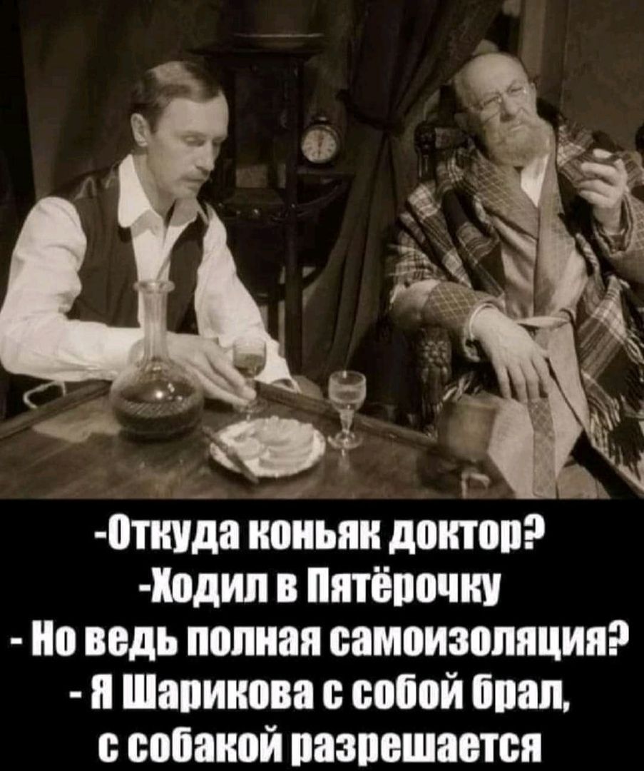 0пшда ноиьяи допов один в иятёппчни Но ведь полная оампизоппцип Шапинова собой бпап собакой пазпешавтся