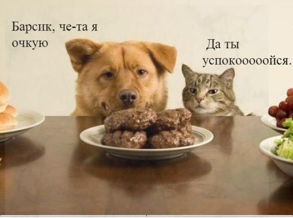 Барыш че та я Да ты успокооооойся