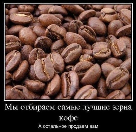 Мы отбираем самые лучшие зерна кофе А остальное продаем вам