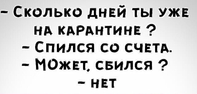 Сколько днвй ты уж нд КАРАнтинв Спился со счвтд ИОжвт свился нвт