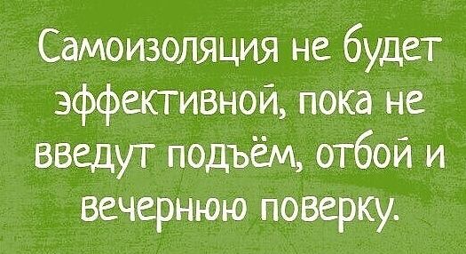 Самоизоляция не будет эффективной пока не введут подъём отбой и вечернюю поверку