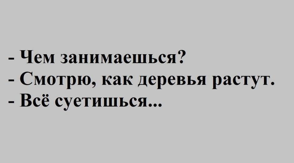 Чем занимаешься Смотрю как Деревья растут Всё суетишься