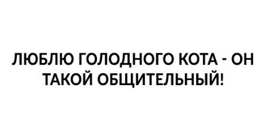 ЛЮБЛЮ ГОЛОДНОГО КОТА ОН ТАКОЙ ОБЩИТЕЛЬНЫЙ