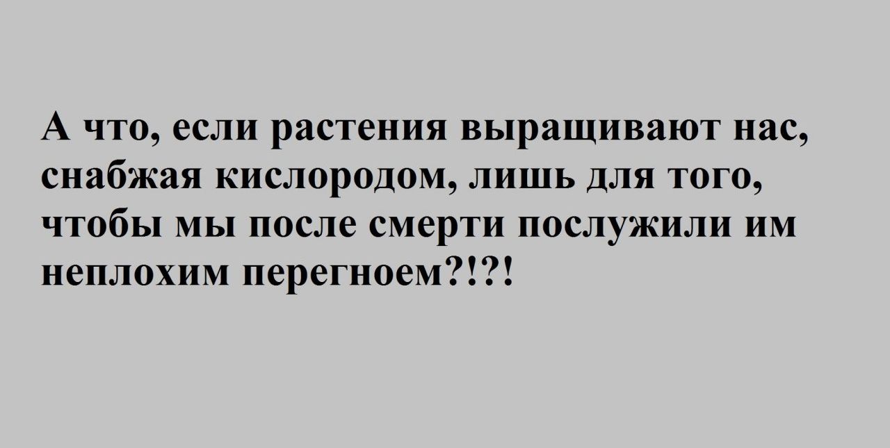 А что если растения выращивают нас снабжая кислородом лишь Для того чтобы мы после смерти послужили им неплохим перегноем