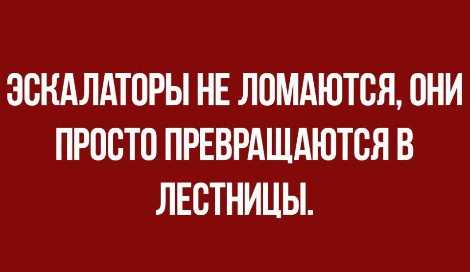 ЗОНАЛАТОРЫ НЕ ЛОМАЮТВЯ ОНИ ПРОСТО ПРЕВРАЩАЮТВЯ В ЛЕСТНИЦЫ