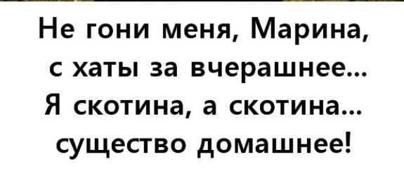 Не гони меня Марина с хаты за вчерашнее Я скотина а скотина существо домашнее