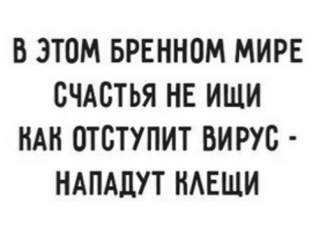 В ЭТОМ БРЕННОМ МИРЕ СЧАСТЬЯ НЕ ИЩИ НАН ОТСТУПИТ ВИРУС НАПАДУТ НАЕЩИ