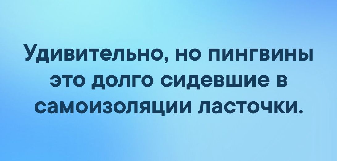 УДИВИТеЛЬНО НО ПИНГВИНЫ ЭТО дОЛГО сидевшие В СЗМОИЗОЛЯЦИИ ЛЭСТОЧКИ