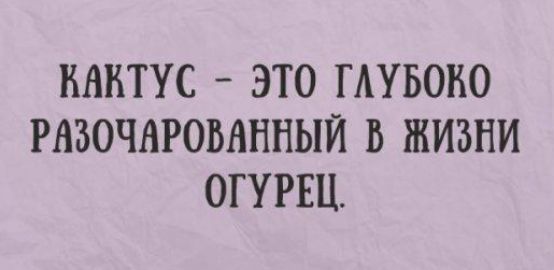 НАНТУС ЭТО ГАУБОНО РАЗОЧАРОВАННЫЙ В ЖИЗНИ ОГУРЕЦ