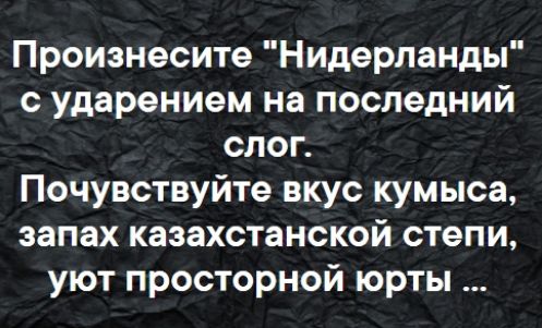 Произнесите Нидерланды с ударением на последний слоп Почувствуйте вкус кумыса запах казахстанской степи уют просторной юрты