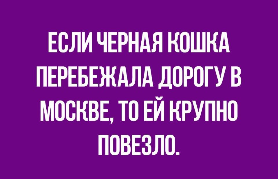 ЕОЛИ ЧЕРНАЯ КОШКА ПЕРЕБЕЖАЛА ДОРОГУ В МОСКВЕ ТО ЕЙ КРУПНО ПОВЕЗЛО