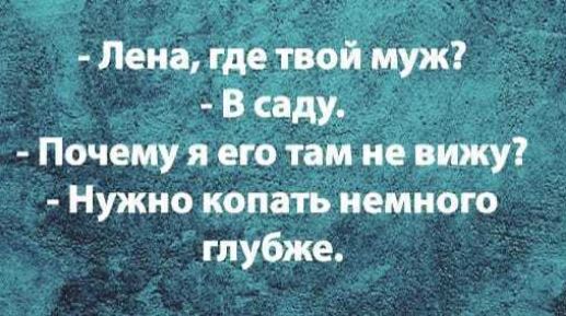 Лена где тв9й муж В саду Почему я _его там не вижу Нужно копать немного глубже