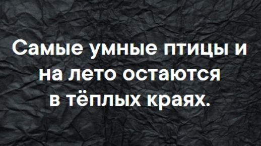 Самые умные птицы и на лето остаются в тёплых краях