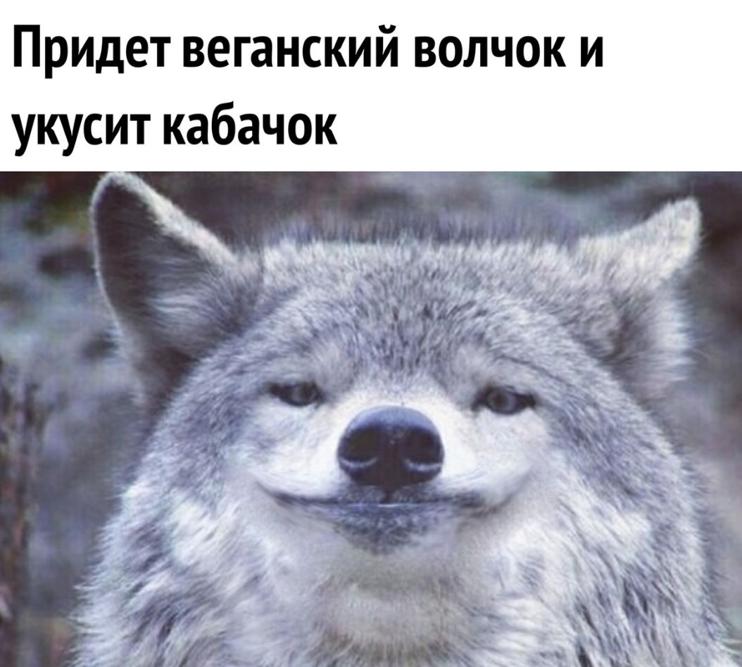 Придет веганский волчок и укусит кабачок