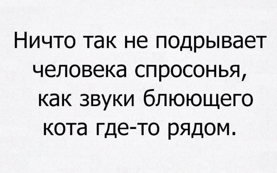 Ничто так не подрывает человека спросонья как звуки блюющего кота где то рядом