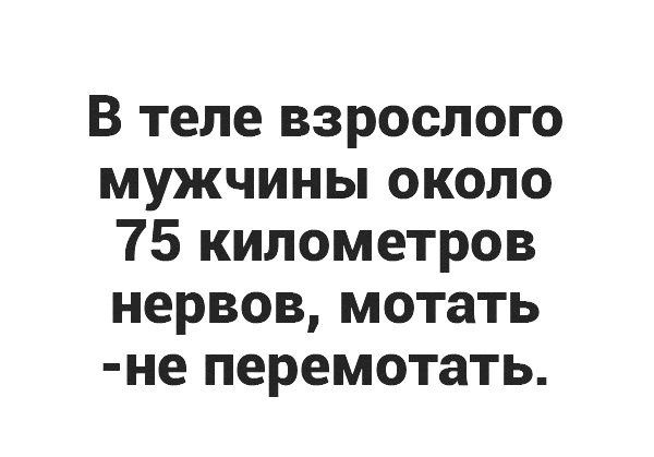 В теле взрослого мужчины около 75 километров нервов мотать не перемотать