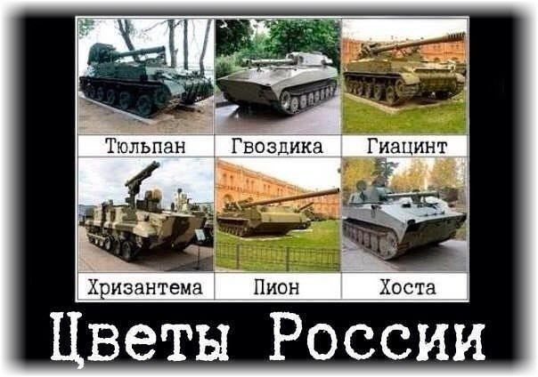 веты России