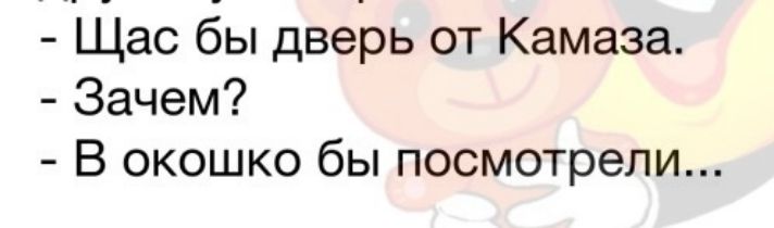 Щас бы дверь от Камаза Зачем В окошко бы посмотрели