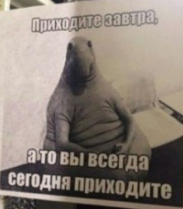 ВЫ ВСЩДЗ индия ППИХОДИТВ _