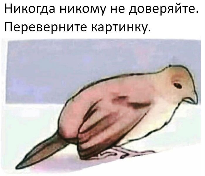Никогда никому не доверяйте Переверните картинку