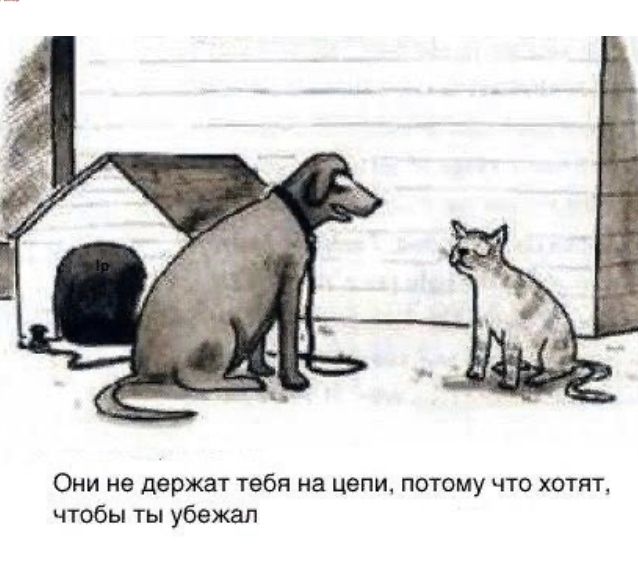 Они не держат тебя на цепи потому что хотят чтобы ты убежал