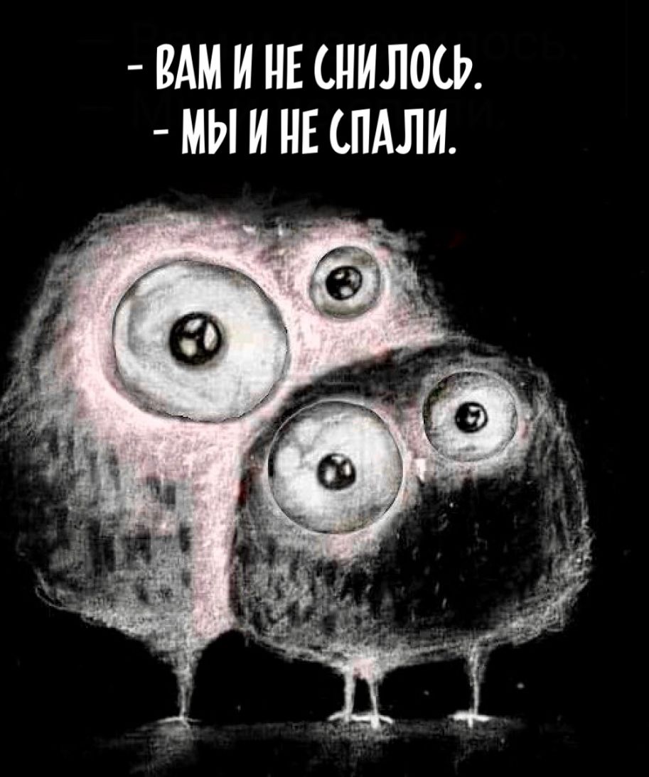 ВАМ И НЕ СНИЛОСЬ МЫ И НЕ ПАЛИ