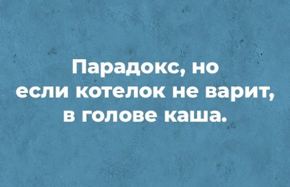 У медведя каша в голове