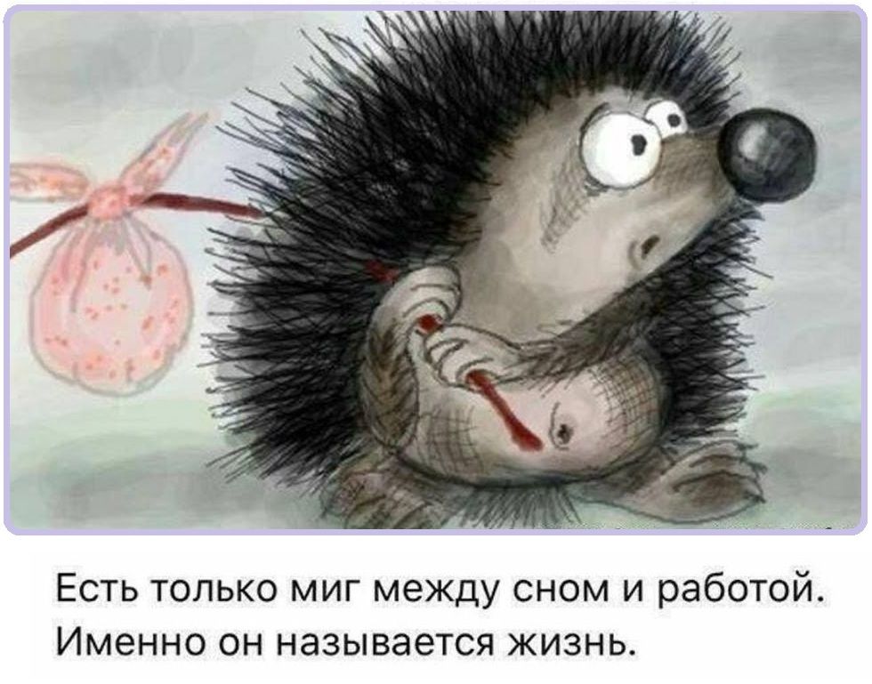 ЕСТЬ ТОЛЬКО МИГ МЕЖДУ СНОМ И работой именно он НЭЗЫВЭЕТСЯ ЖИЗНЬ
