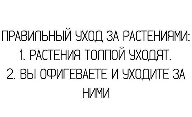 ПРАВИПЬНЫЙ ЭХОД ЗА РАСТЕНИЯМИ 1 РАСТЕНИЯ ТОППОЙ ЭХОДЯТ 2 ВЫ ОФИГЕВАЕТЕ И ЧХОДИТЕ ЗА НИМИ
