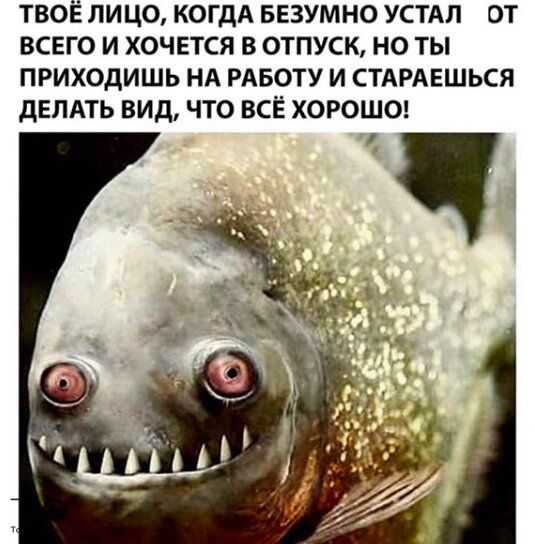 ТВОЁ ЛИЦО КОГДА БЕЗУМНО УСТАЛ ОТ ВСЕГО И ХОЧЕТСЯ В ОТПУСК НО ТЫ ПРИХОДИШЬ НА РАБОТУ И СТАРАЕШЬСЯ дЕПАТЬ ВИД ЧТО ВСЁ ХОРОШО