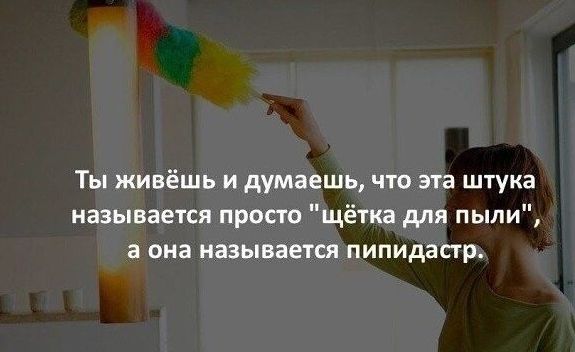 Ты живёшь и думаешь что эта штука называется просто щётка для пыли а она называется пипидасгр