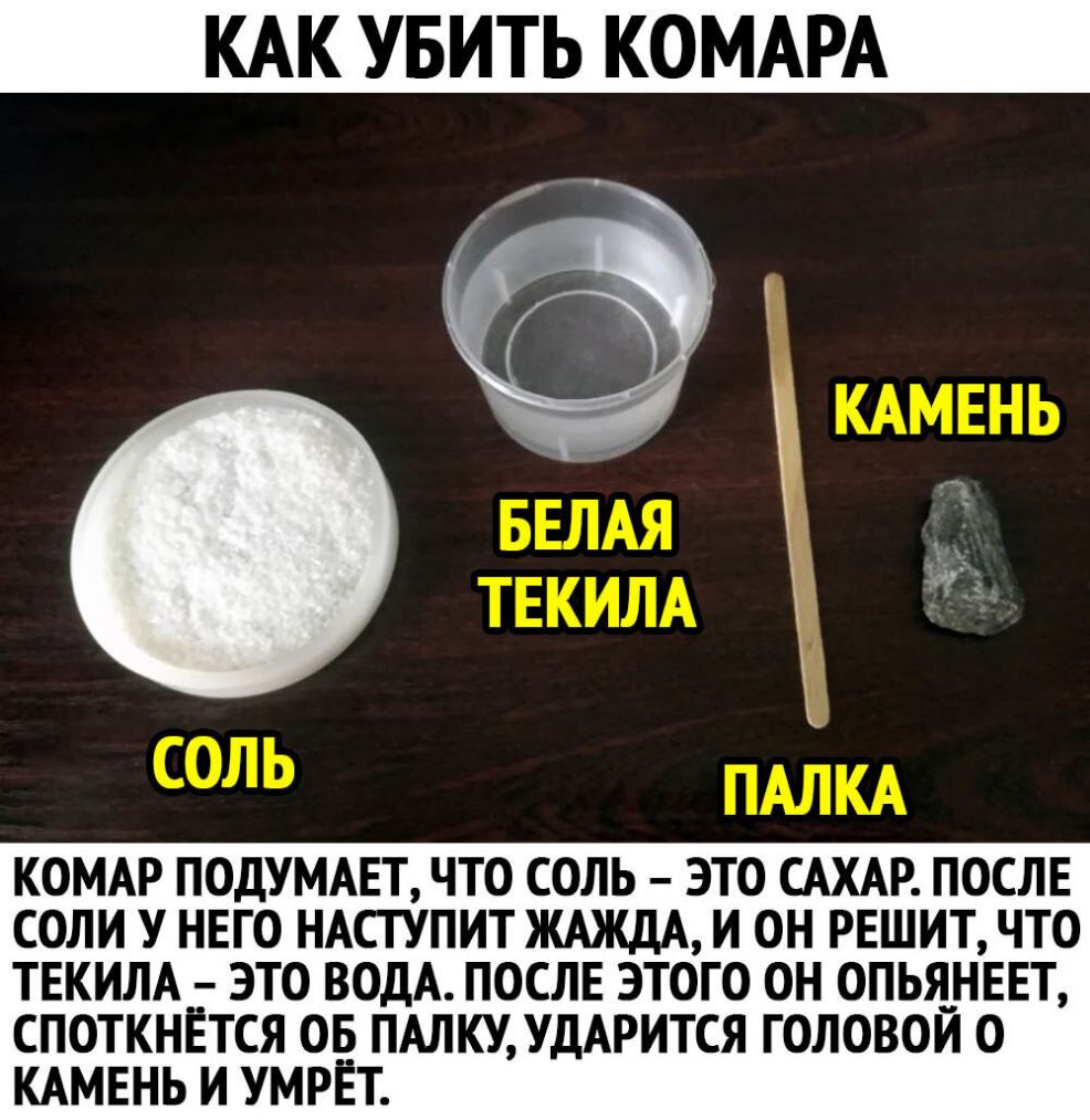 КАК УБИТЬ КОМАРА КОМАР ПОДУМАЕТ ЧТО СОЛЬ ЭТО САХАР ПОСЛЕ СОЛИ У НЕГО НАСТУПИТ ЖАЖДА И ОН РЕШИТ ЧТО ТЕКИЛА ЭТО ВОДА ПОСЛЕ ЭТОГО ОН ОПЬЯНЕЕТ СПОТКНЕТСЯ ОБ ПАЛКУУДАРИТСЯ ГОЛОВОИ О КАМЕНЬ И УМРЕТ