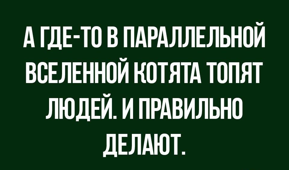А ГДЕ ТП В ПАРАЛЛЕЛЬНПЙ ВСЕЛЕННОЙ КОТЯТА ТППЯТ ЛЮДЕЙ И ПРАВИЛЬНО дЕЛАЮТ