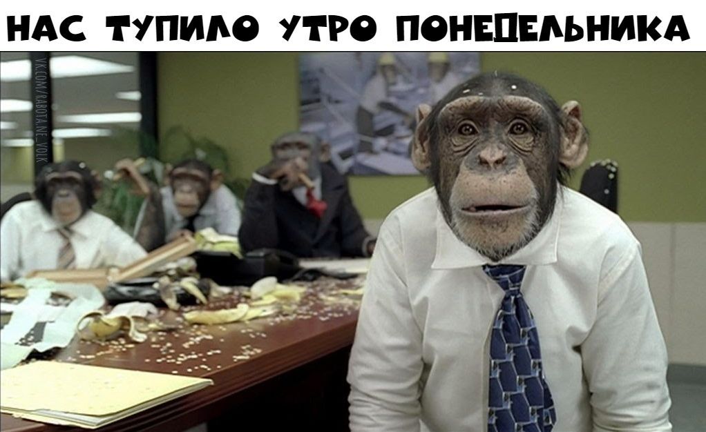 НАС ТУПИАО УТРО _ОПЕПЕАЬНИКА