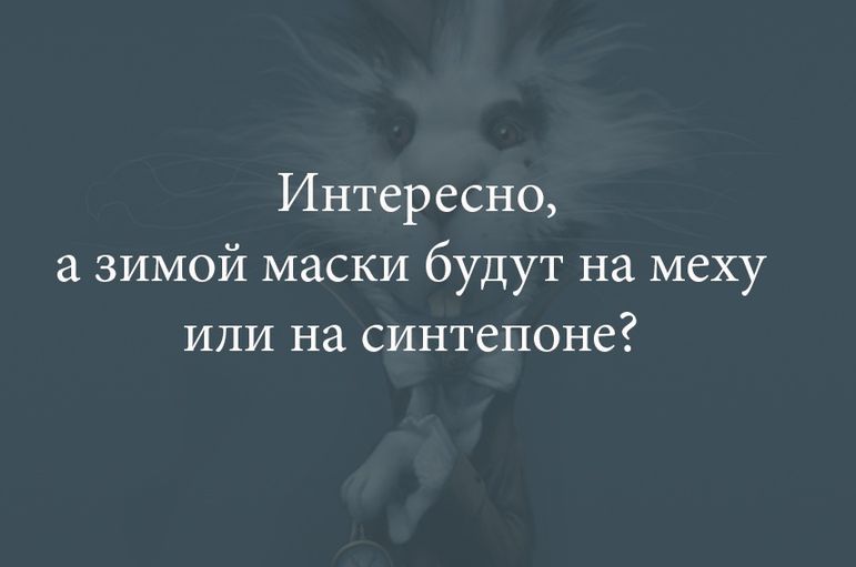 Интересно а зимой маски будут на меху или на синтепоне