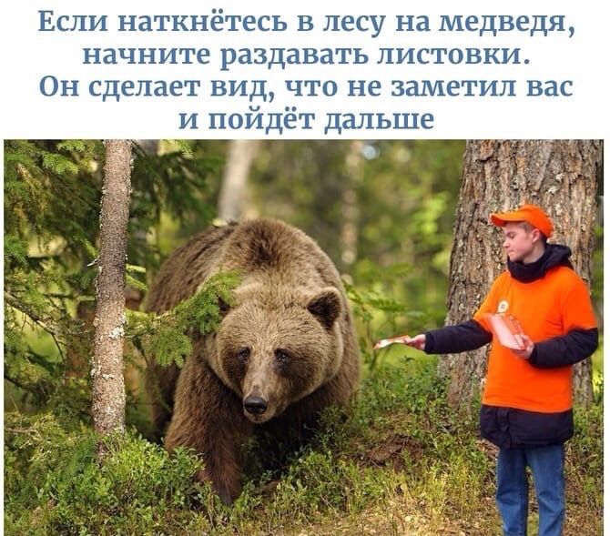 Если наткнётесь В лесу на Медведя начните раздавать листовки ОН сделает вид что не заметил вас и пойдёт Дальше