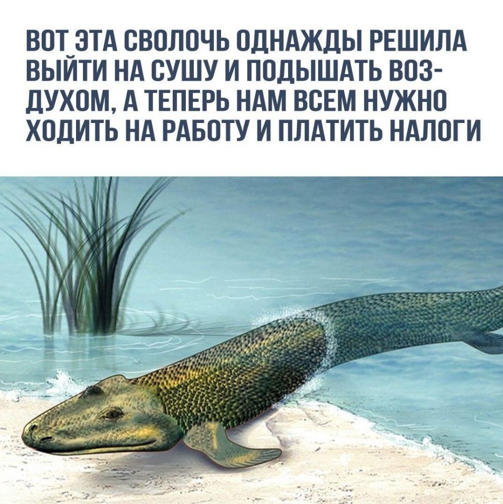 ВОТ_3ТА ОВОЛОЧЬ ОДНАЖДЫ РЕШИЛА ВЫИТИ НА ОУШУ И ПОДЫШАТЬ ВОЗ ДУХОМ А ТЕПЕРЬ НАМ ВСЕМ НУЖНО ХОДИТЬ НА РАБОТУ И ПЛАТИТЬ НАЛОГИ