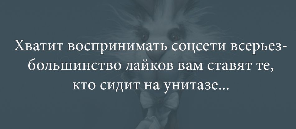 Хватит воспринимать соцсети всерьез большинство лайков вам ставят те кто сидит на унитазе