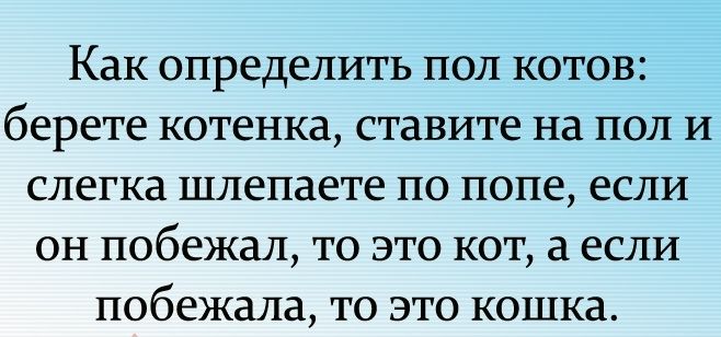 Как определить пол котов берете котенка ставите на пол И слегка шлепаете по попе если он побежал то это кот а если побежала то это кошка
