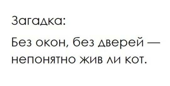 Зогсщкся Без окон без Аверей непонятно жив АИ кот