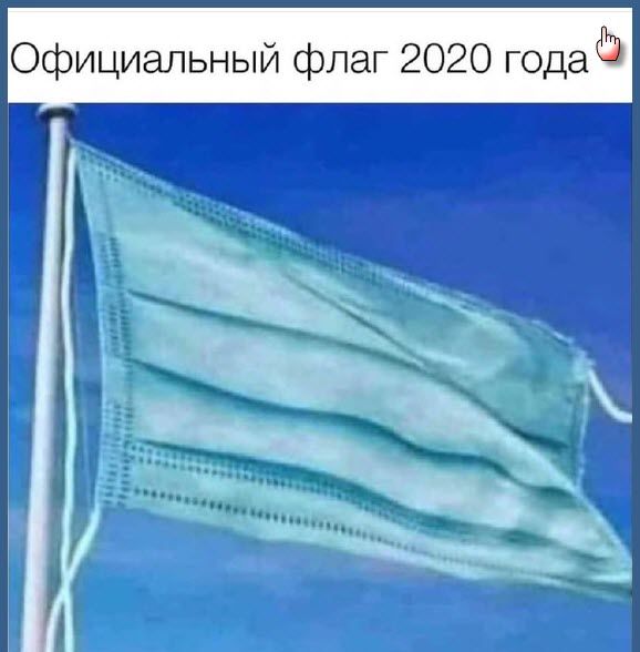 Официальный флаг 2020 годаШ