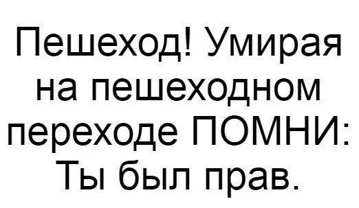 Пешеход Умирая на пешеходном переХОДе ПОМНИ Ты был прав